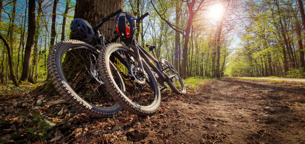 Area Ski Menghentikan Bike Park Dari Operasi Musim Panas