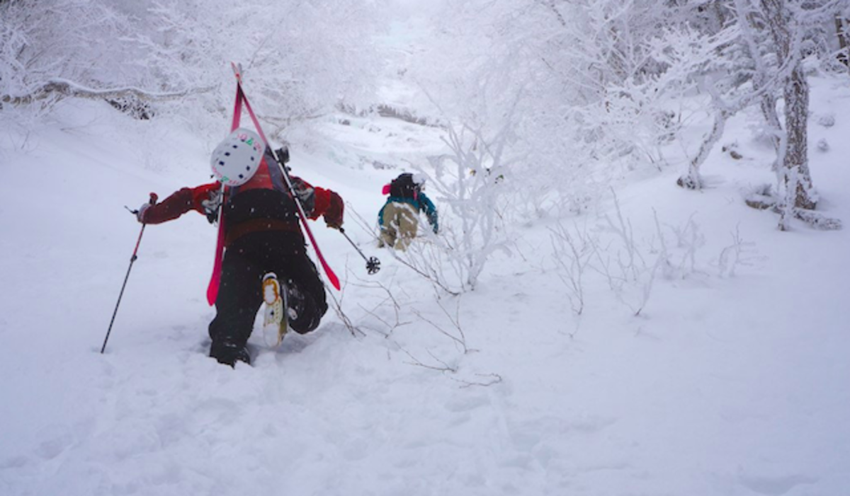 Worth has been taking an East Coast approach to skis for four seasons. PHOTO: Dalten Harben
