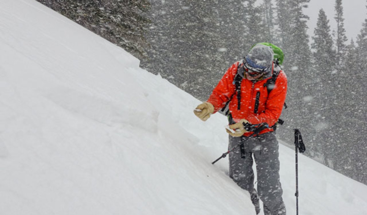 avalanche-forecaster-snow