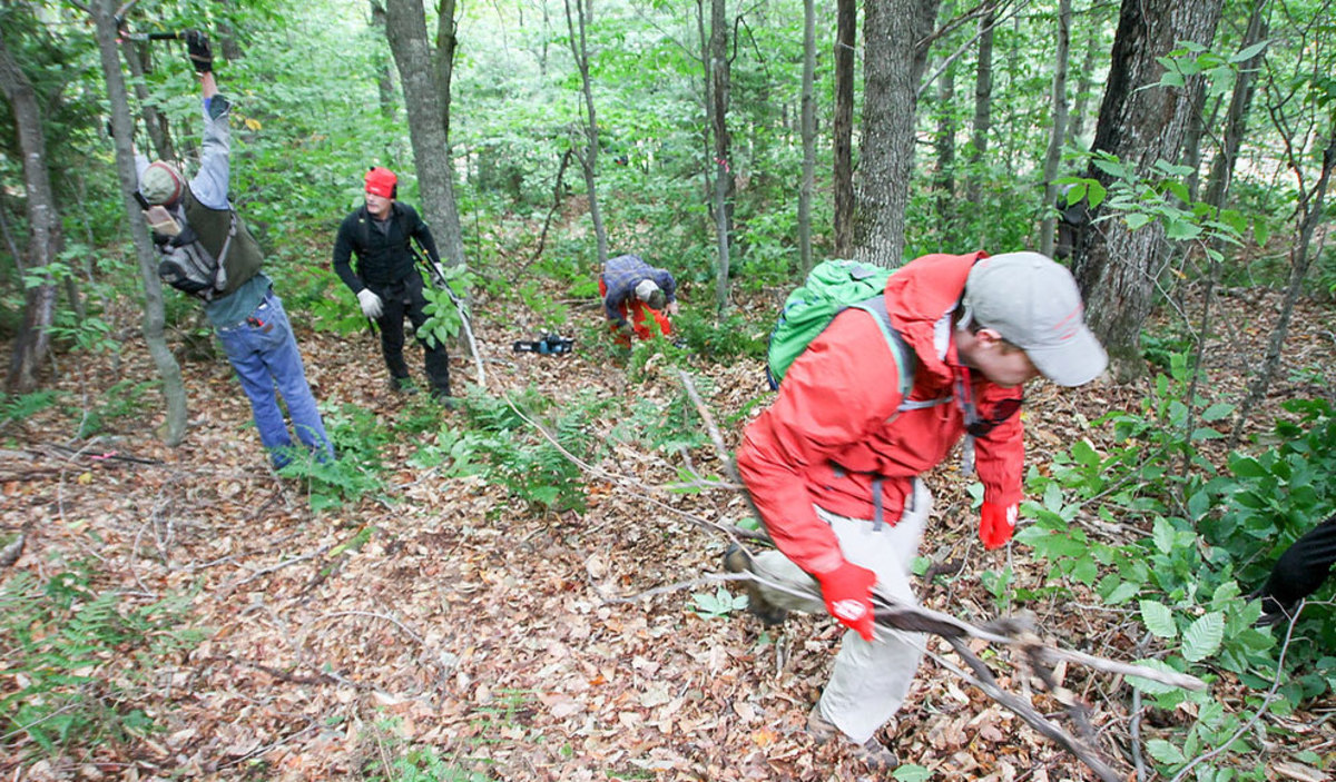 Volunteers trim dense forests for one goal, skiing. PHOTO: Brian Mohr/EmberPhoto