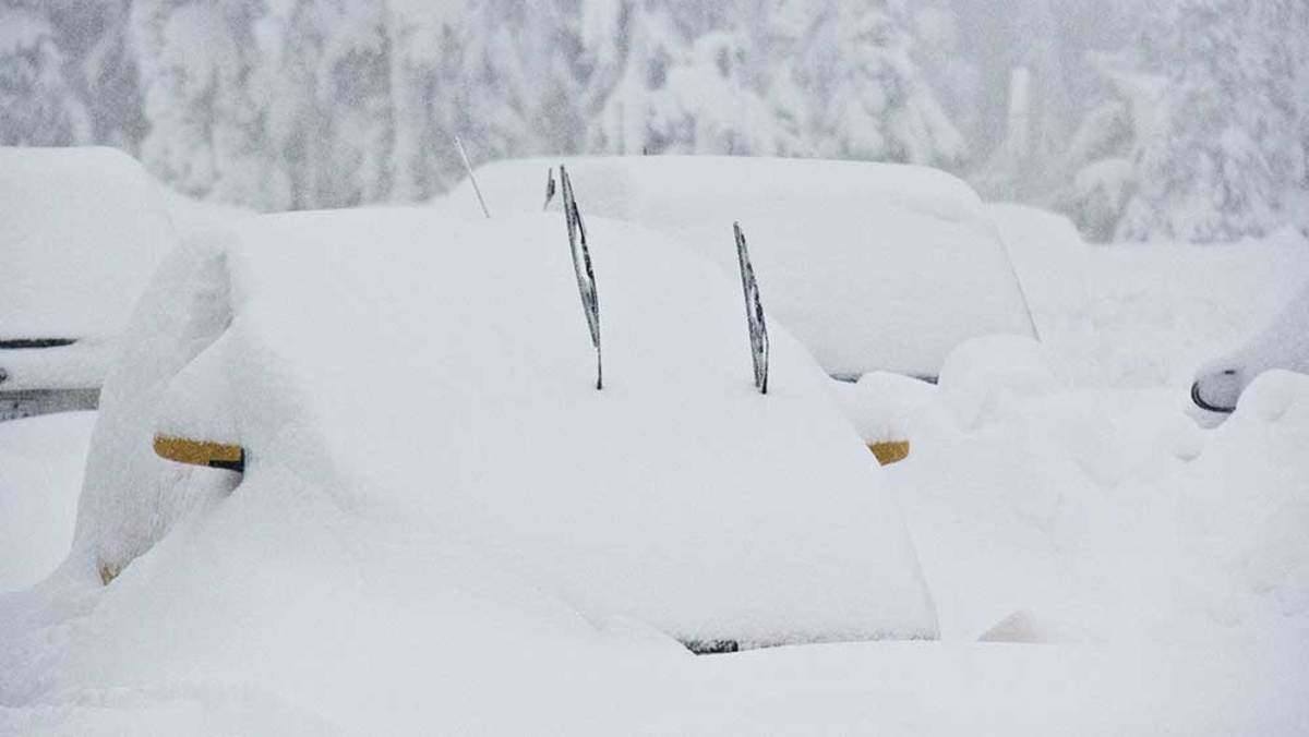 Love that maritime snowpack. PHOTO: Courtesy of Mount Washington