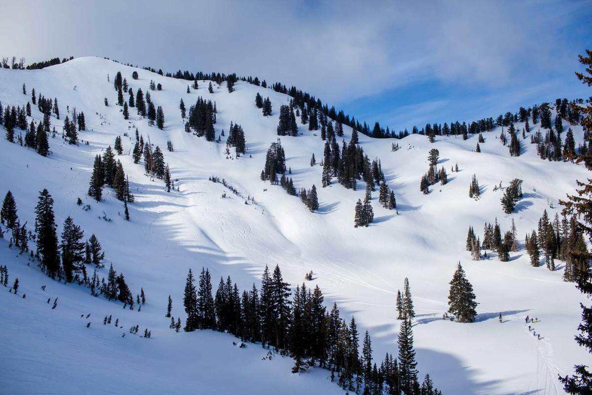 Light enough for several laps, stiff enough to rip on the down. PHOTO: Jakob Schiller