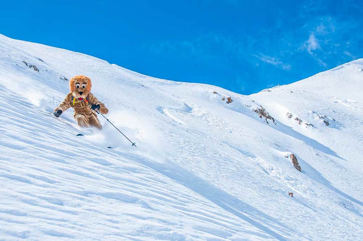 After rubbing one out in his happy safe lion suit, the happy safe lion finds his happy safe place. Photo: Trent Bona