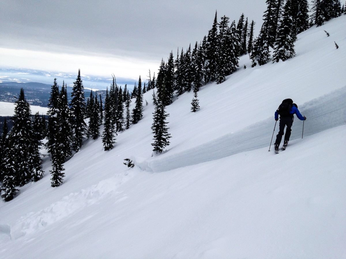 Investigating a slab avalanche crown in the southern Whitefish Range, March 2014.