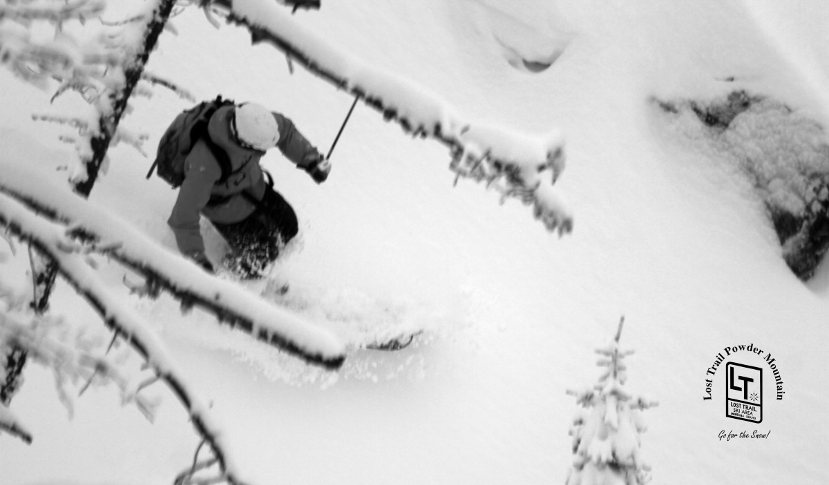 Tree Well Danger an 'Underappreciated Risk' POWDER Magazine