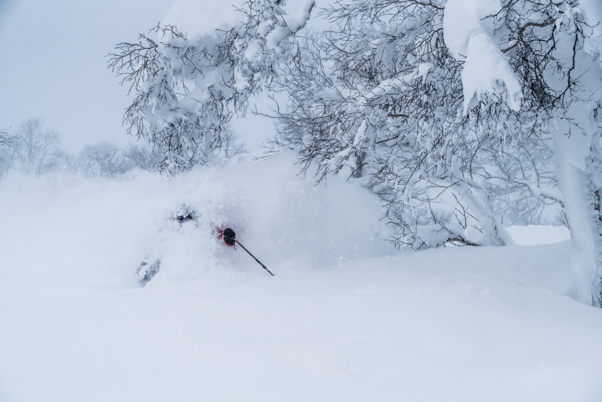 PHOTO: Chris Cardello, by Cam McLeod