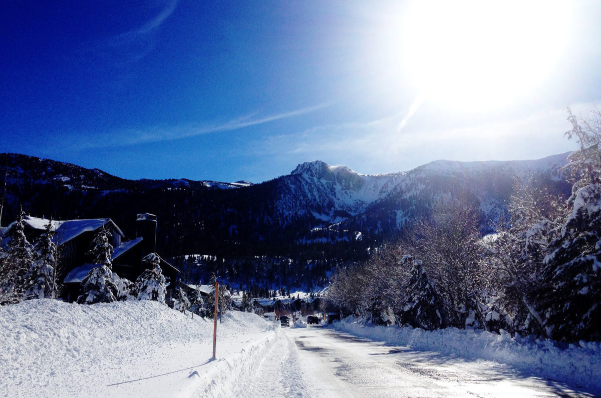 Is there anything more beautiful than the day after a winter storm?