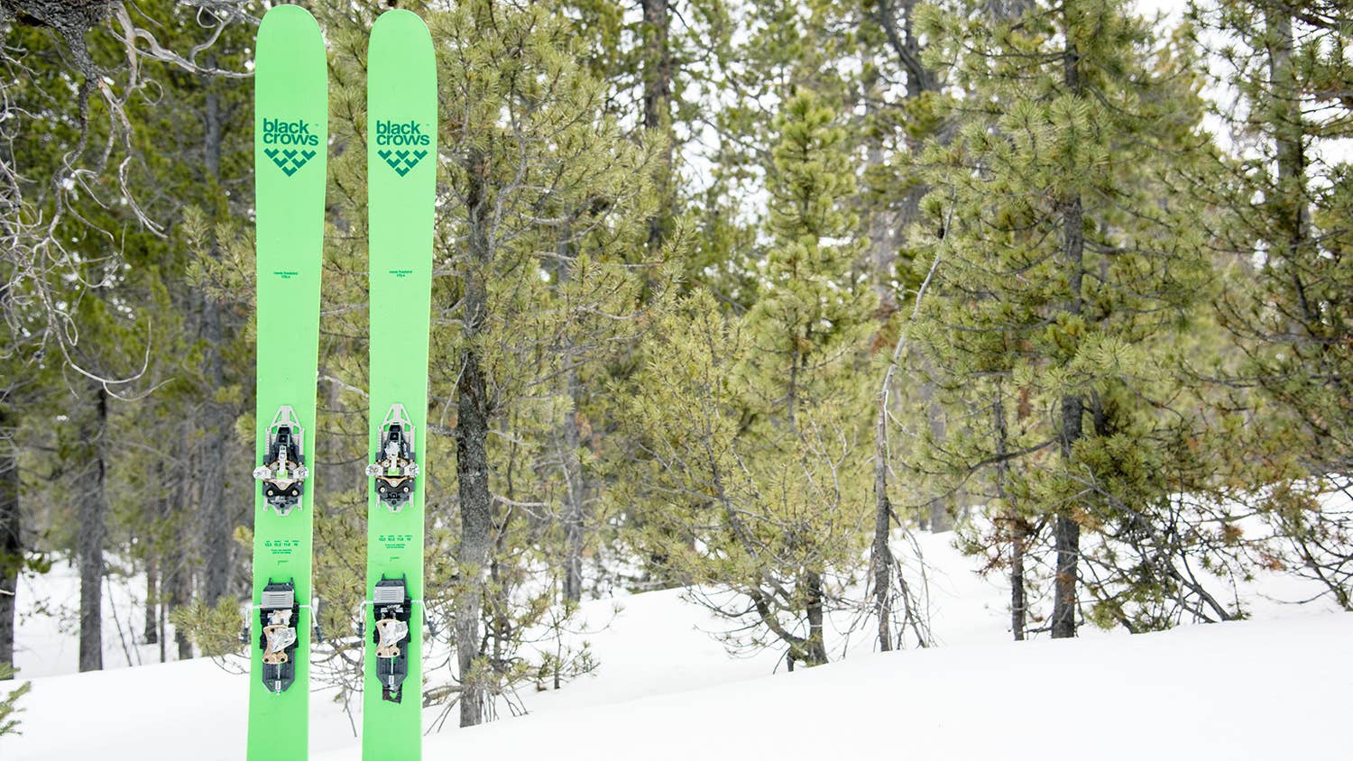 スキー blackcrows navis FB 179+ Tyrolia Almonte For a Good Time in the Backcountry, Call the Black Crows Navis