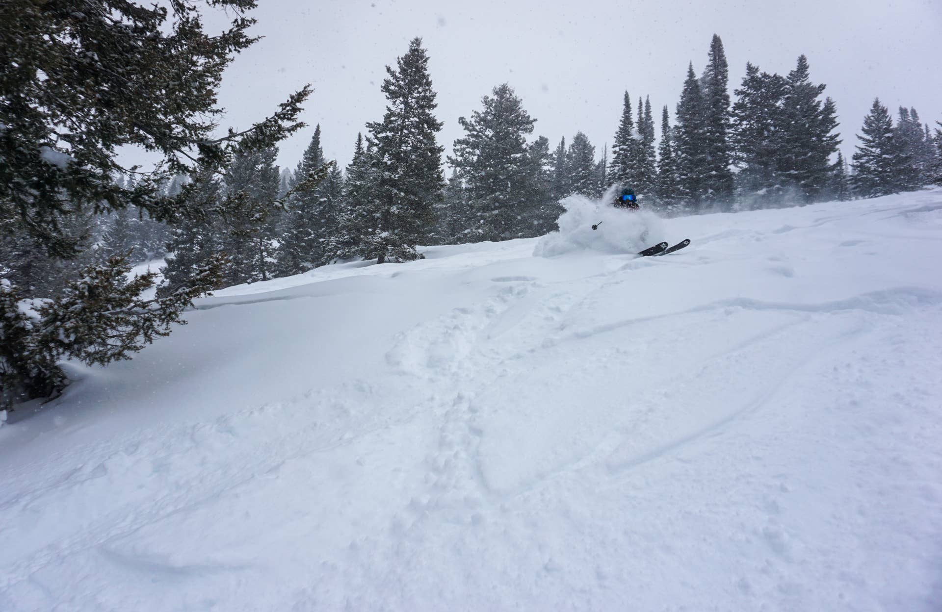 Powder Review: Volkl Blaze 114 - POWDER