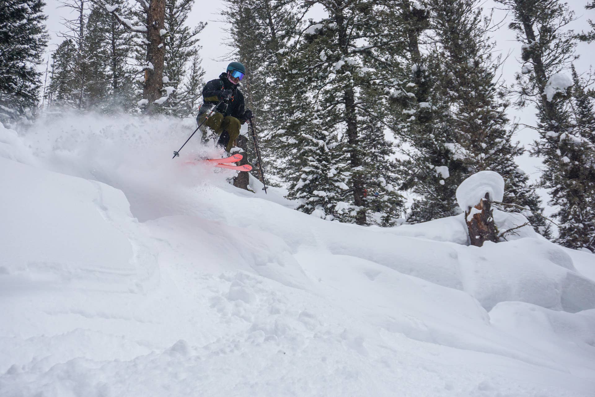 Review: blackcrows Draco Freebird - Powder