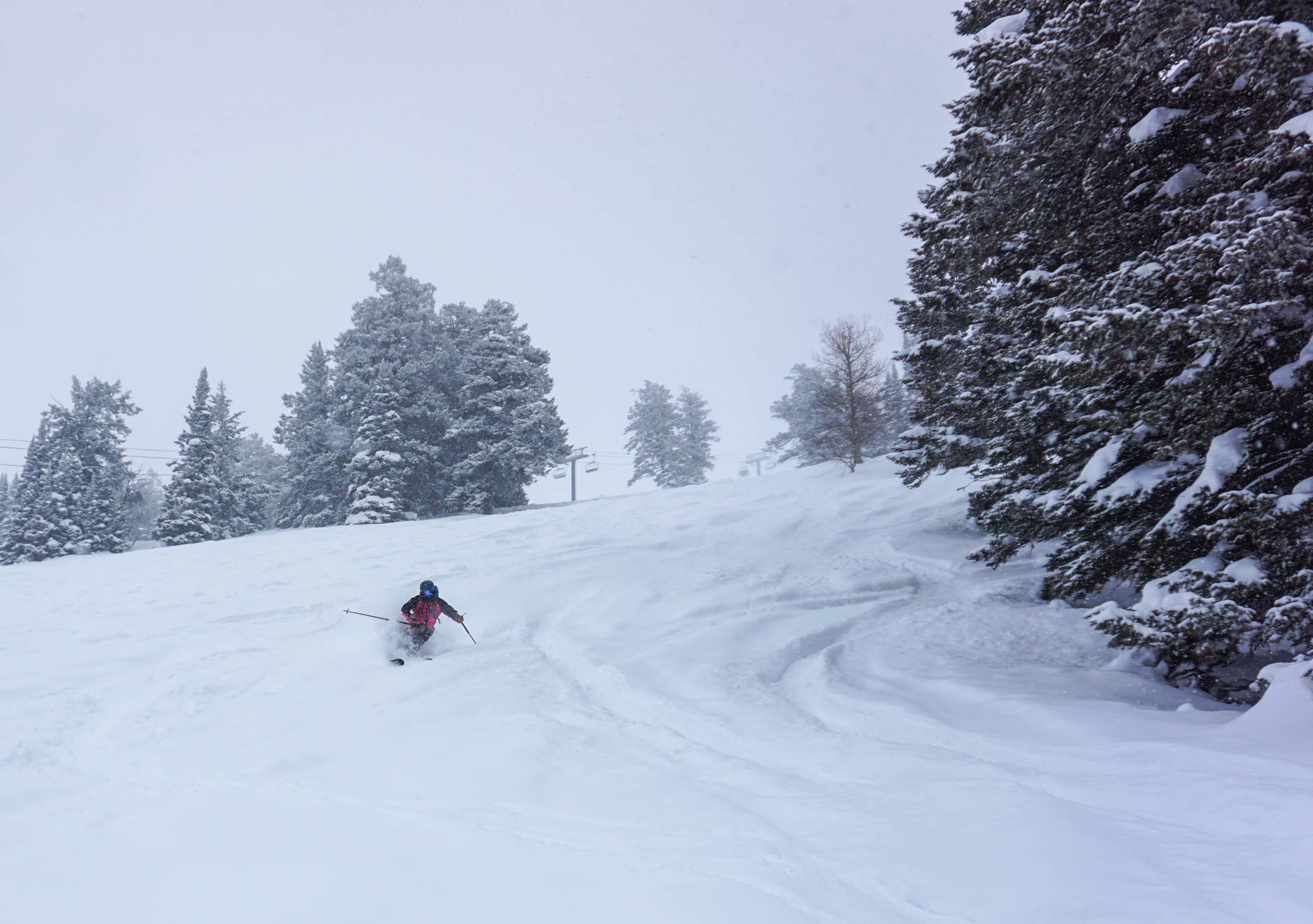 Powder Review: Faction Mana 3 - POWDER