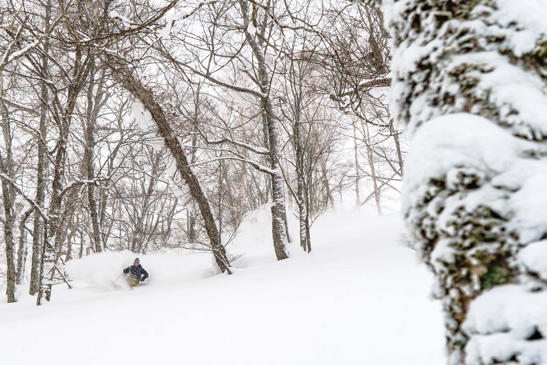 Skiing Niseko's Winter Wonderland - POWDER