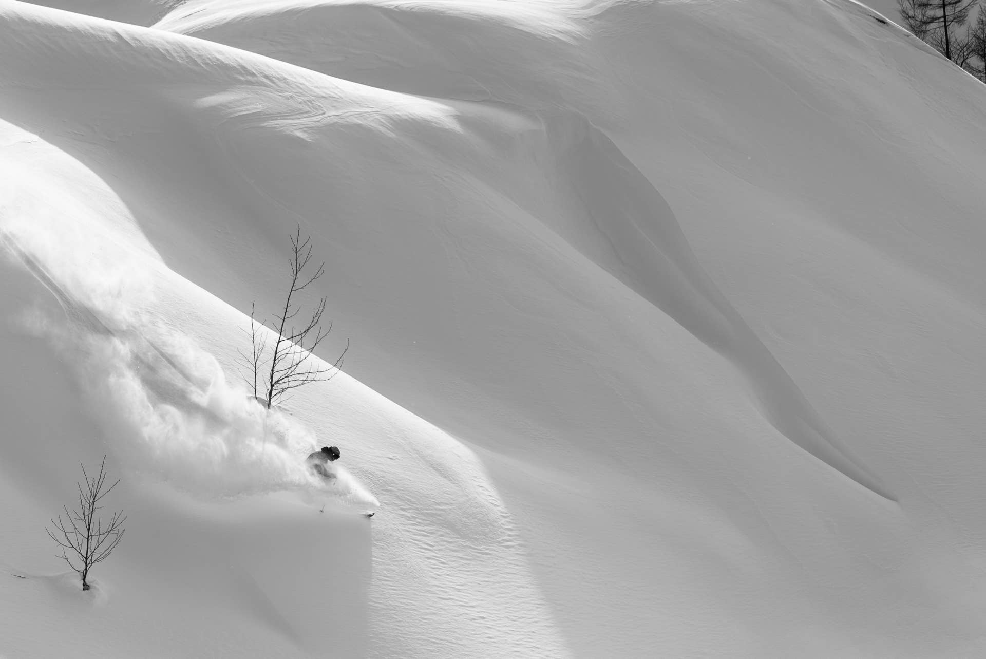 Skiing Niseko's Winter Wonderland - POWDER