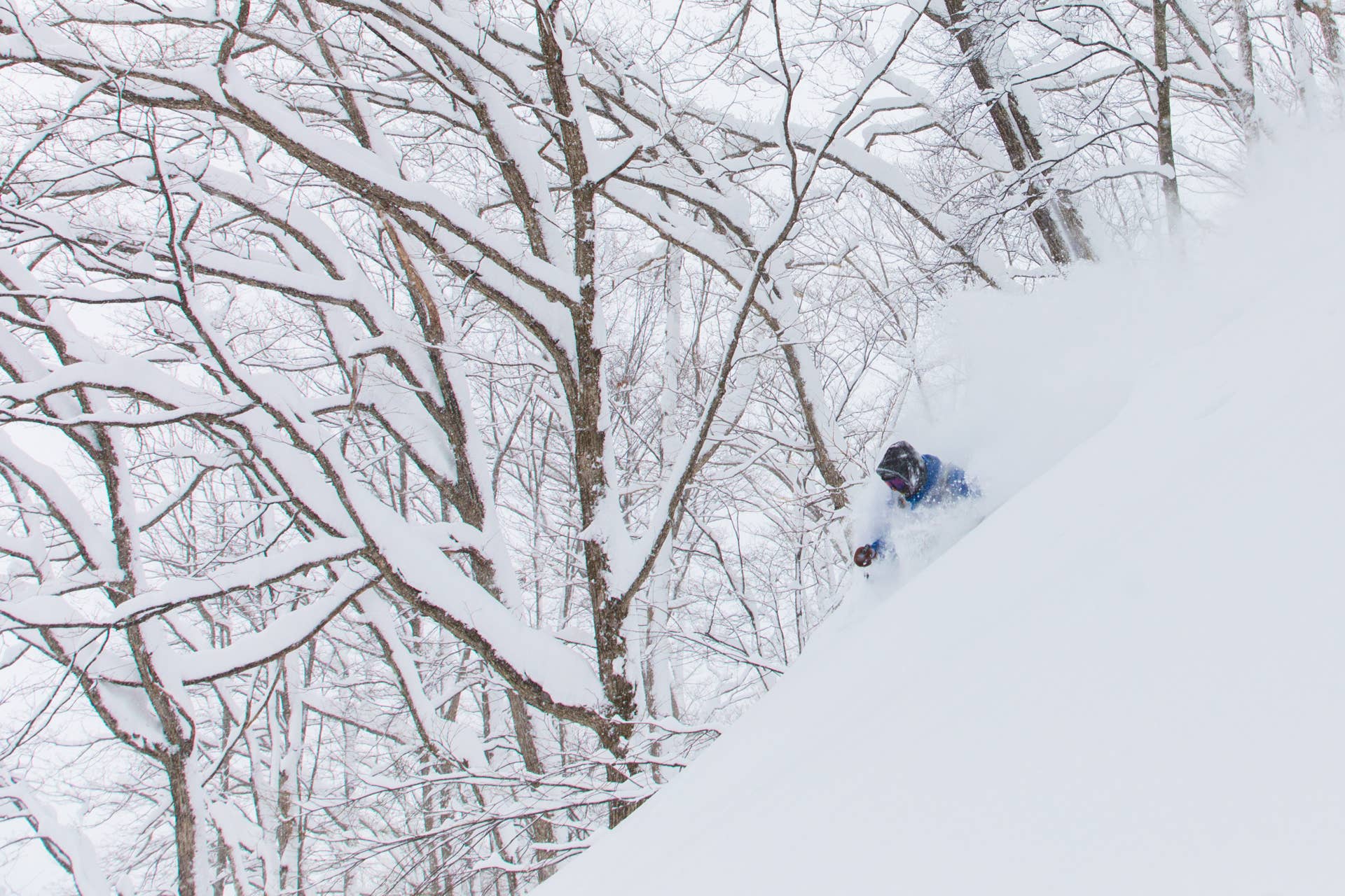 Skiing Niseko's Winter Wonderland - POWDER
