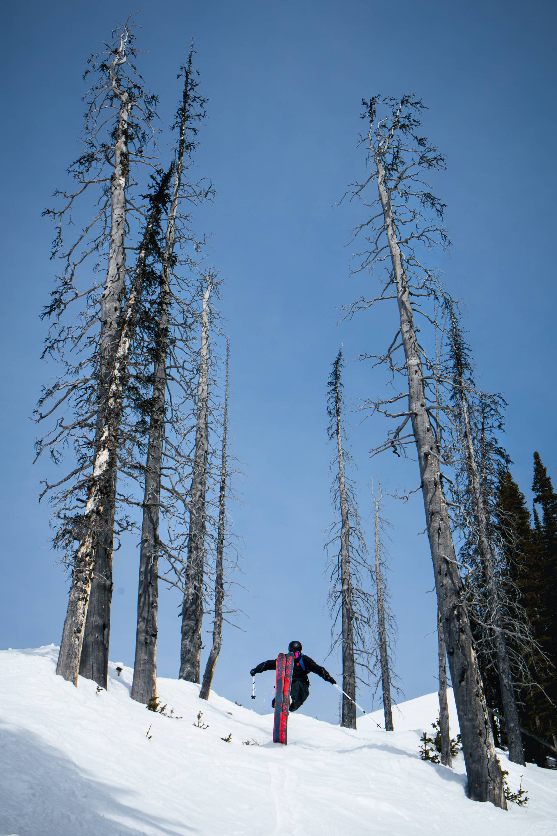 Review: 2026 K2 Reckoner KF - POWDER