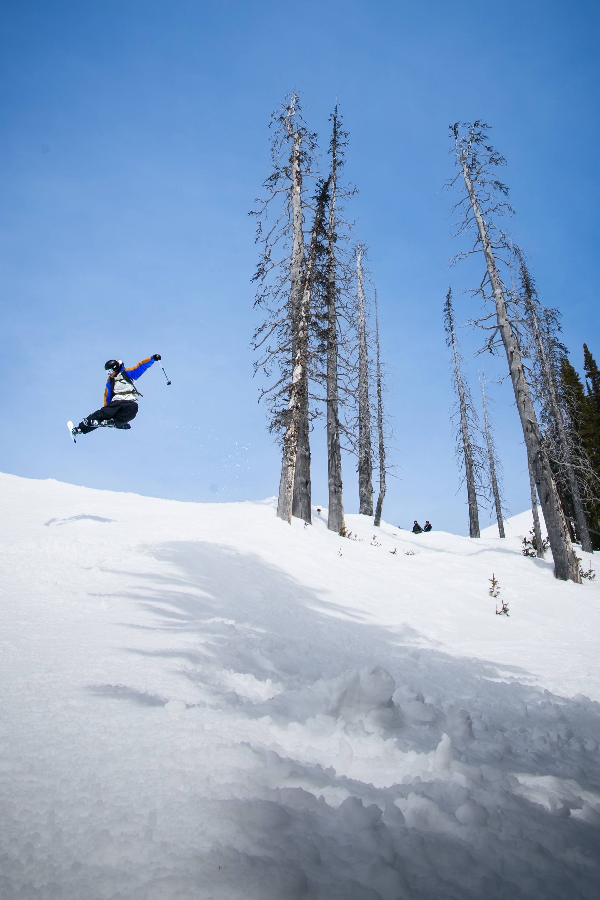 Review: 2026 RMU Professor 111 Powder Skis - Powder