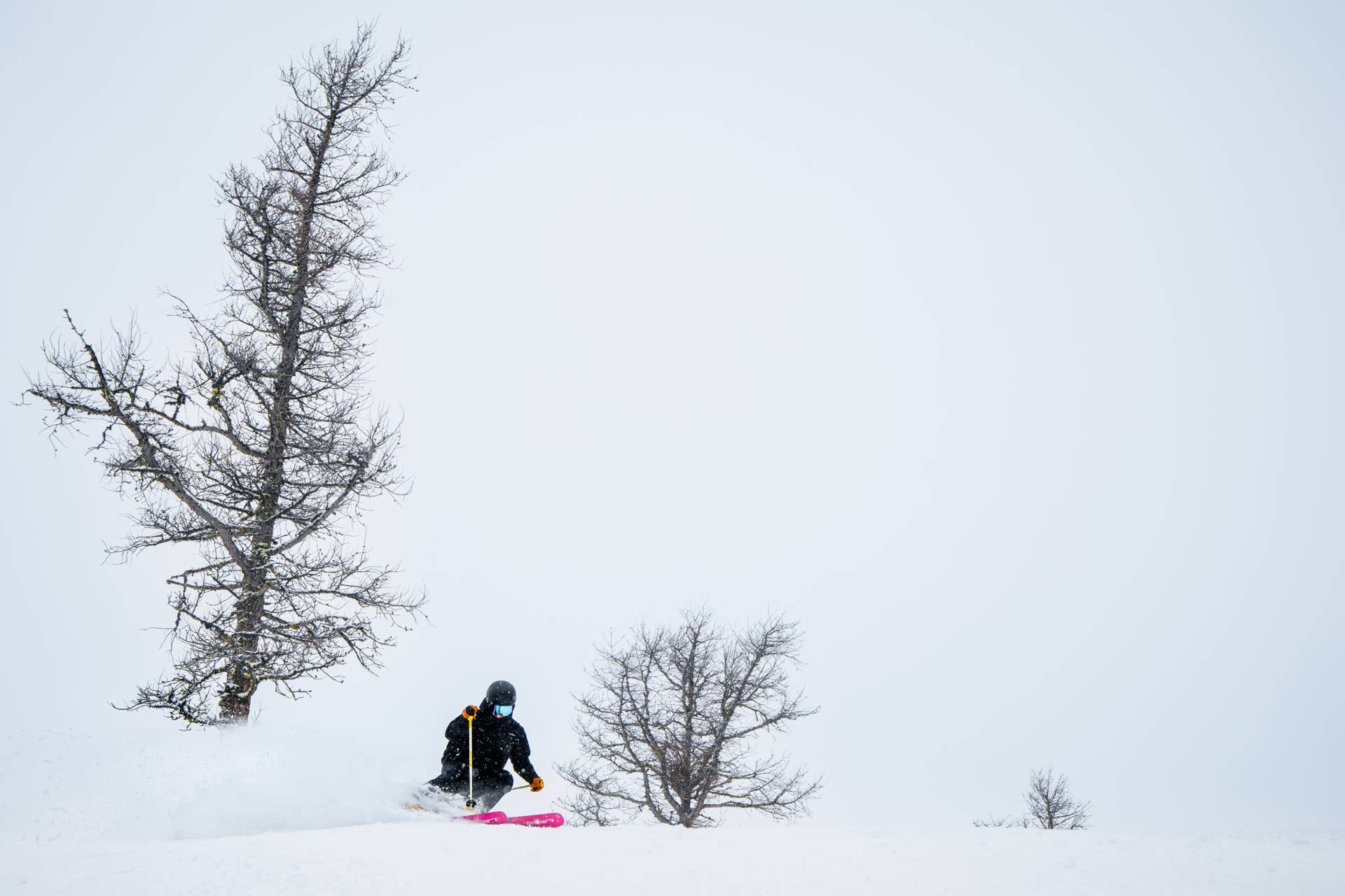 Review: 2026 Elan Playmaker 111 Powder Skis - POWDER