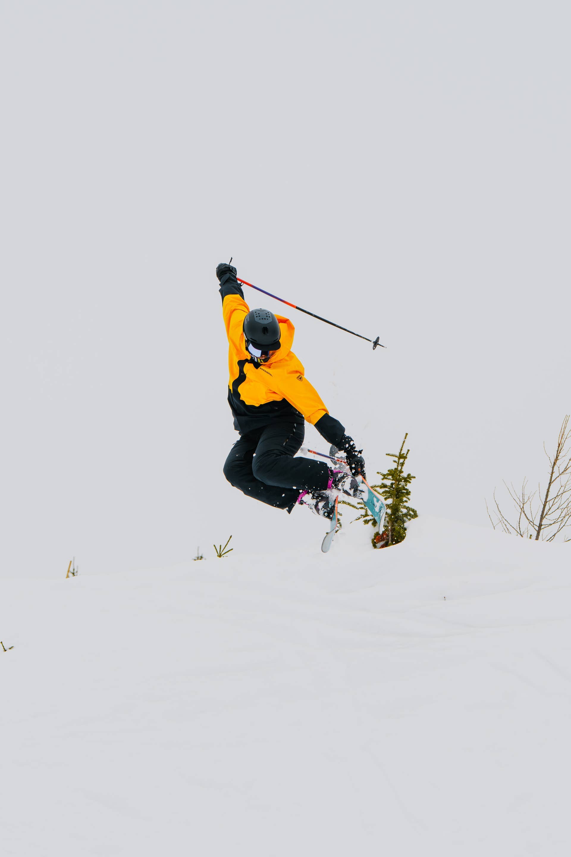 Rossignol Sender Free 110: The Ultimate Freeride Ski? - Powder