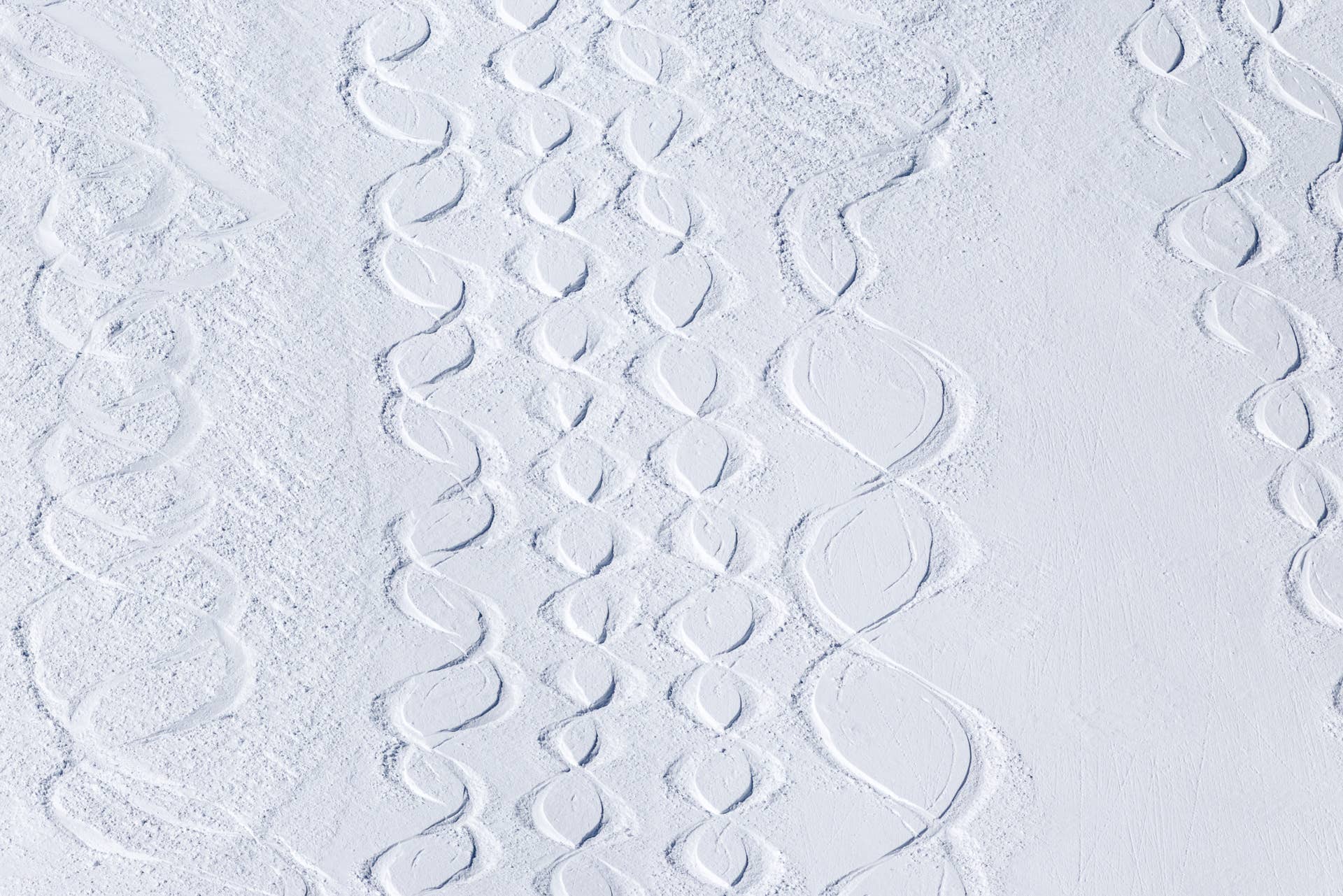 Alta Ski Area Revives Powder 8s Competition After 28 Years - POWDER