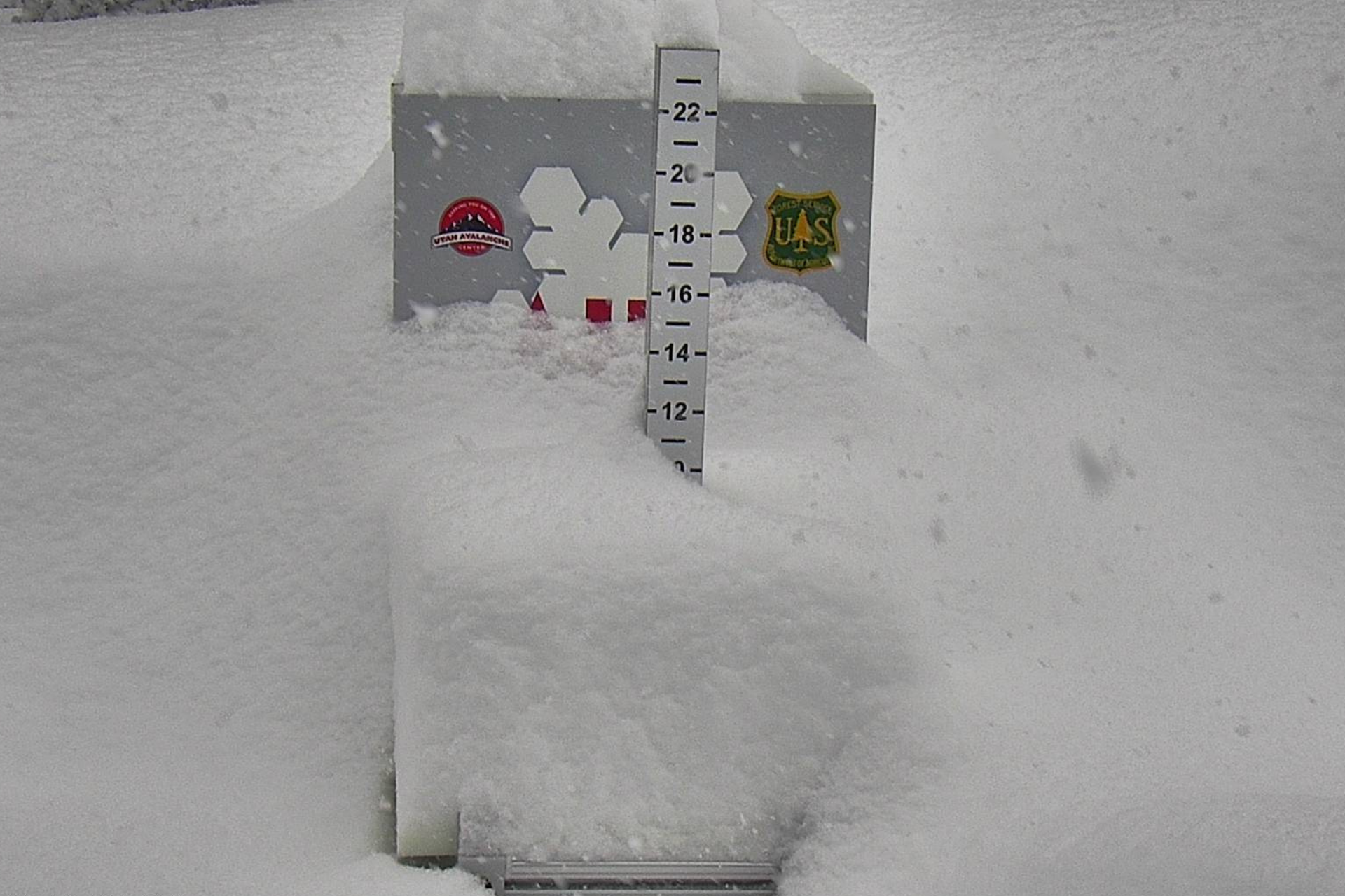 Miracle March: Two Feet of Snow Slams Utah Ski Resorts - POWDER