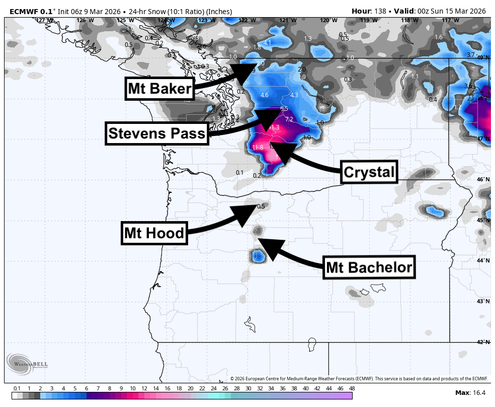 Washington Ski Resort Snow Forecast: March 9-14, 2026 - Powder