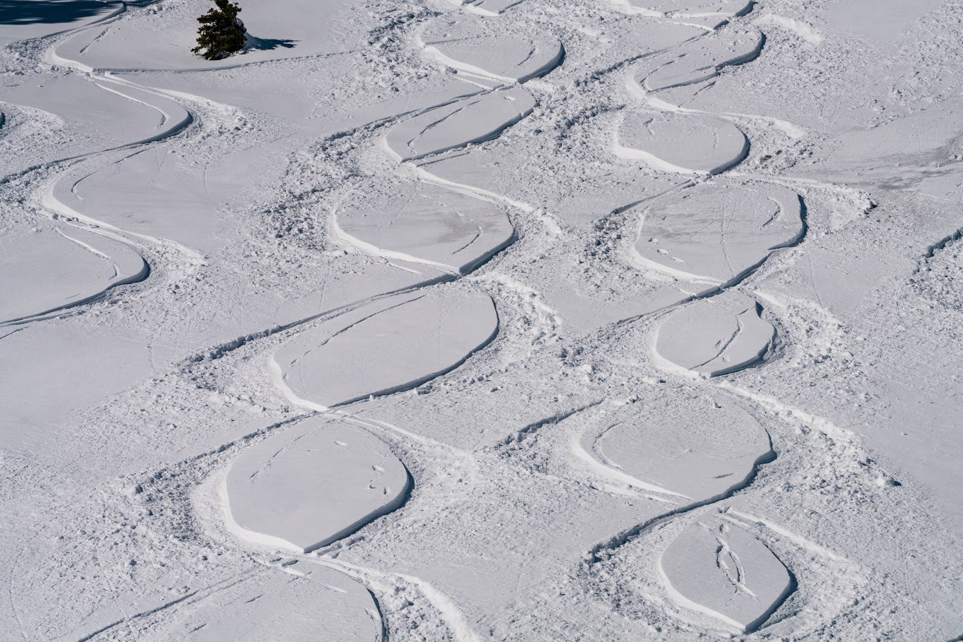 Photos From Alta's Best Week of the Ski Season - POWDER