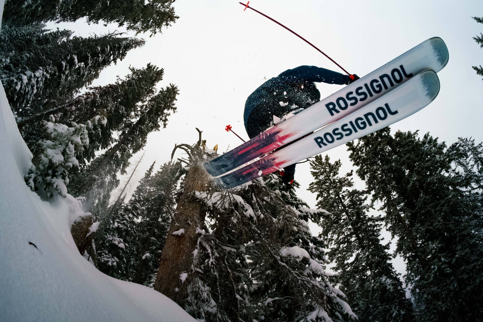 Ultra-Long Term Ski Test: Salomon El Dictator (2011-12) - POWDER