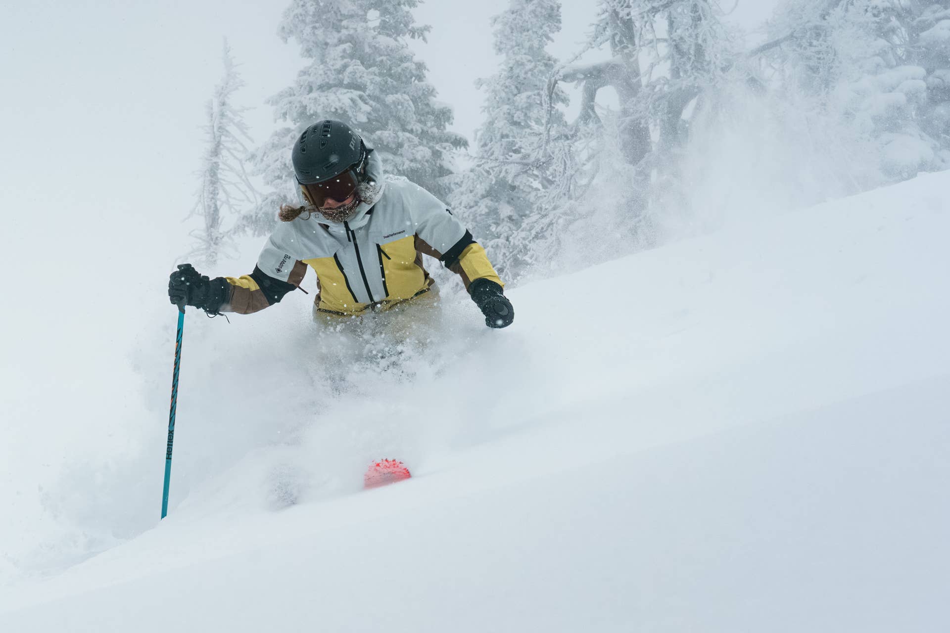 FAT-YPUS A-LOTTA - POWDER