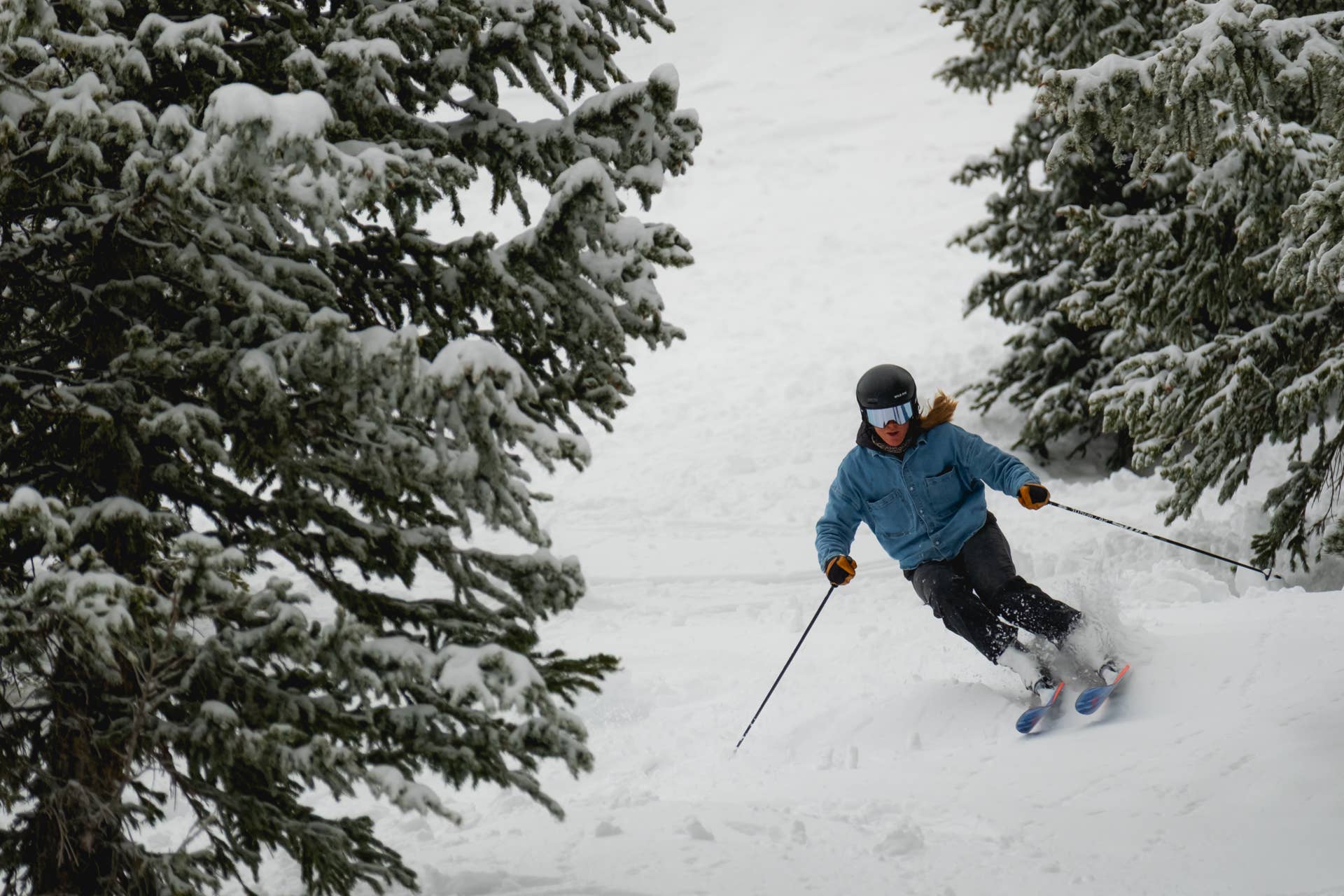 Dynafit Speed Turn 2.0 - POWDER