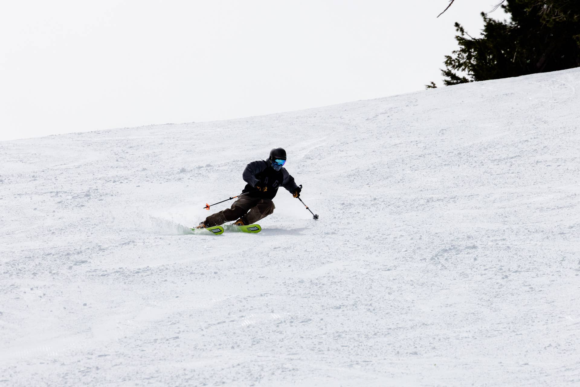 FAT-YPUS A-LOTTA - POWDER