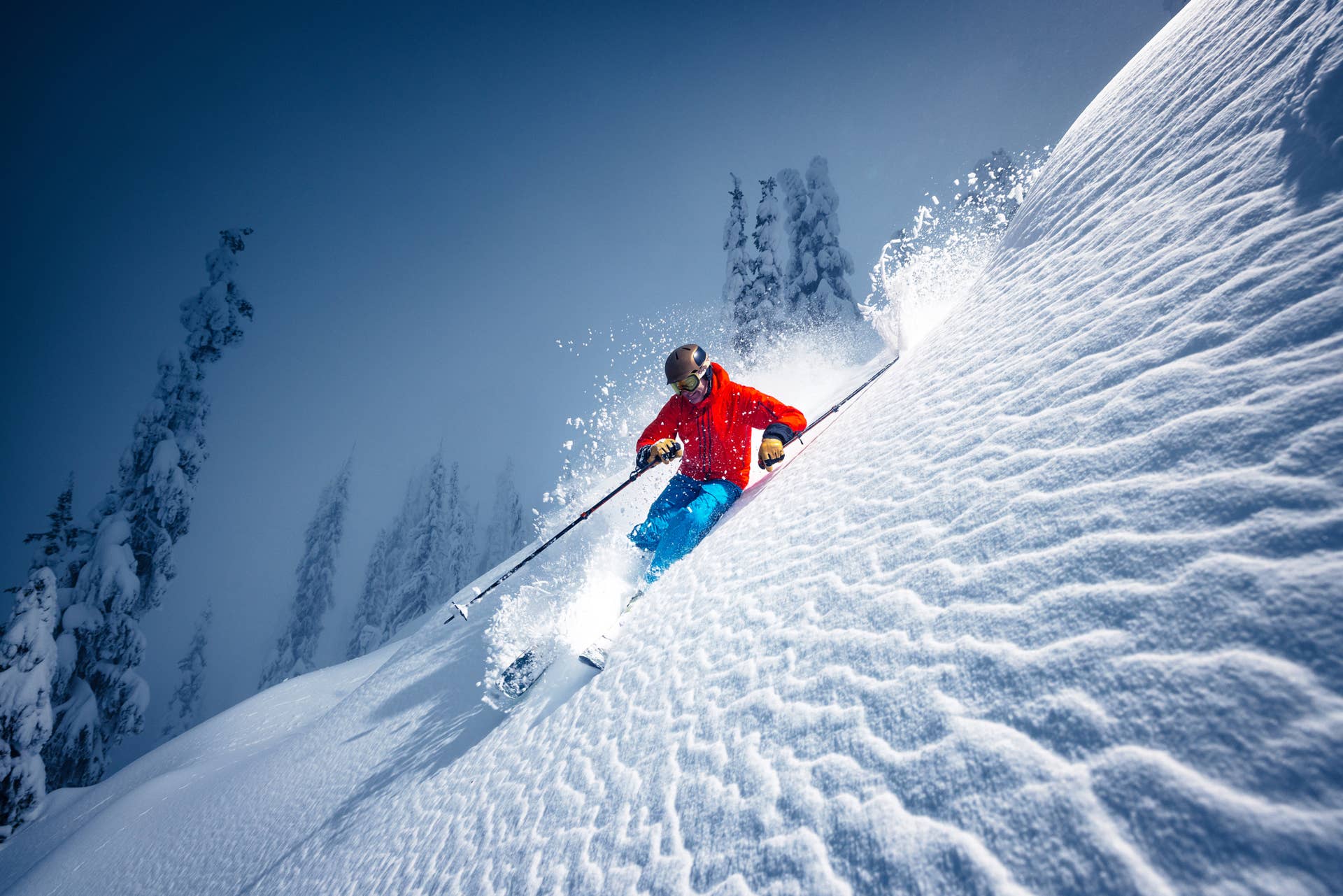 Dynafit Speed Turn 2.0 - POWDER