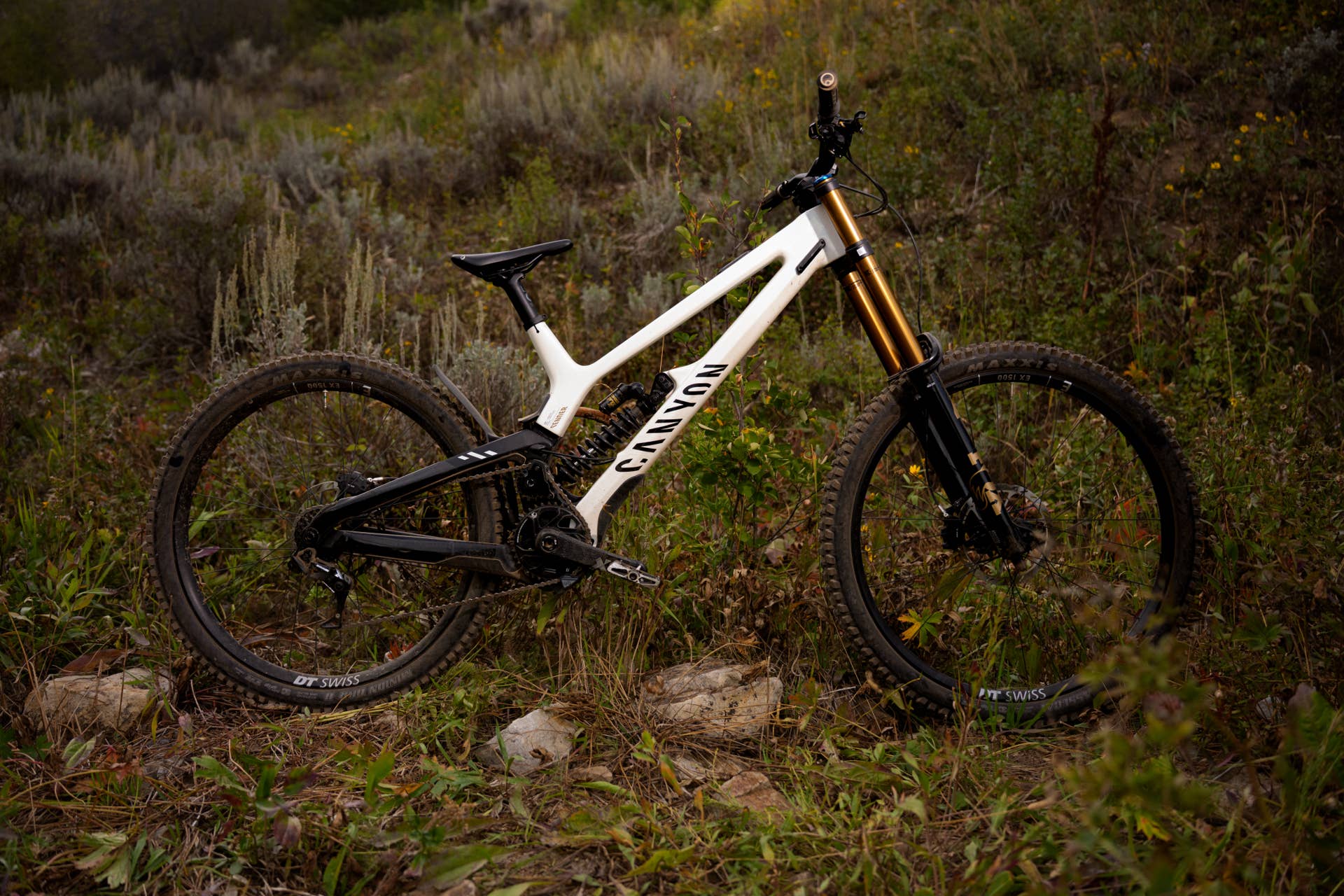 Canyon's Sender CFR Downhill Bike Review (2027) - POWDER