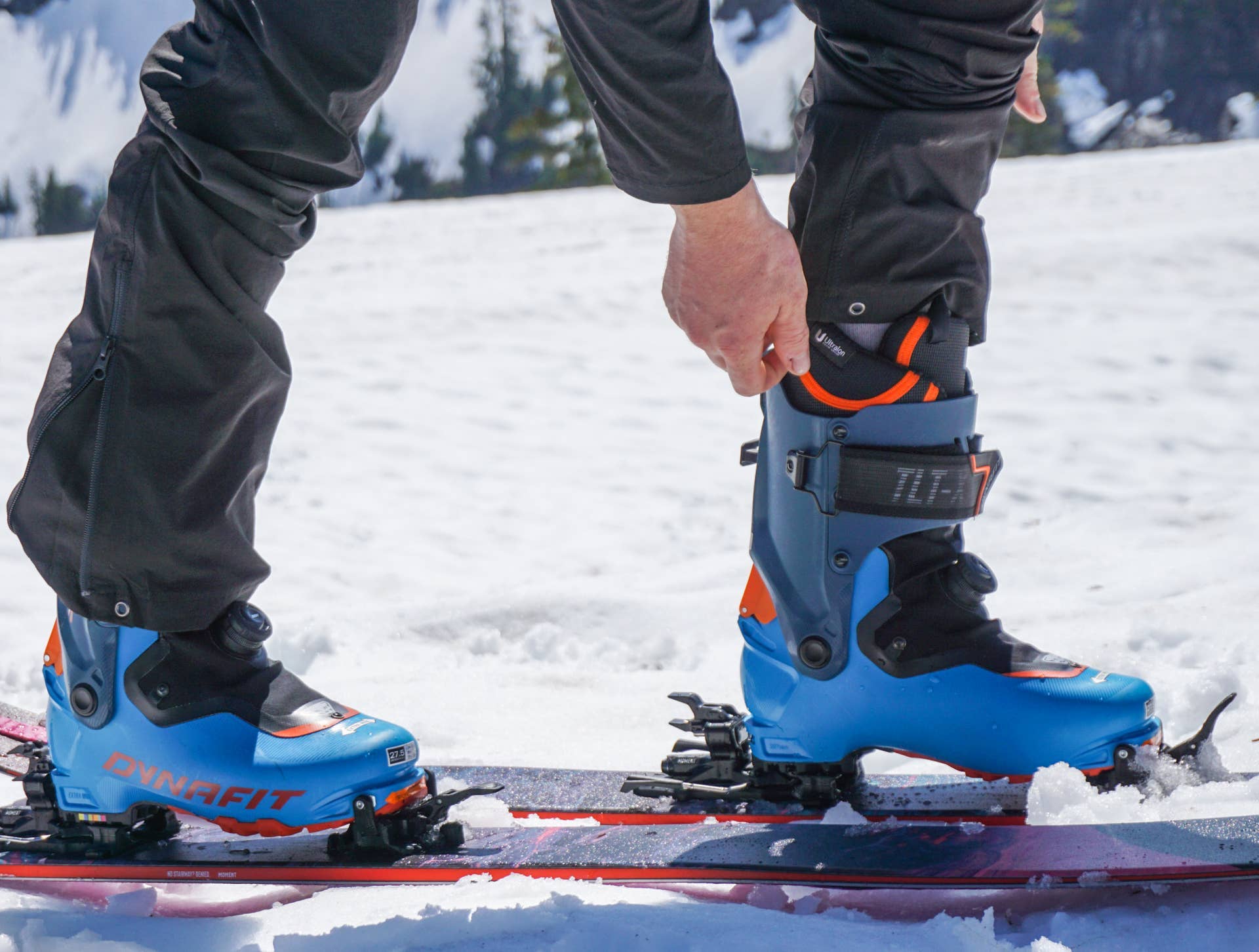 Powder Review: Dynafit TLT X Wide - Powder