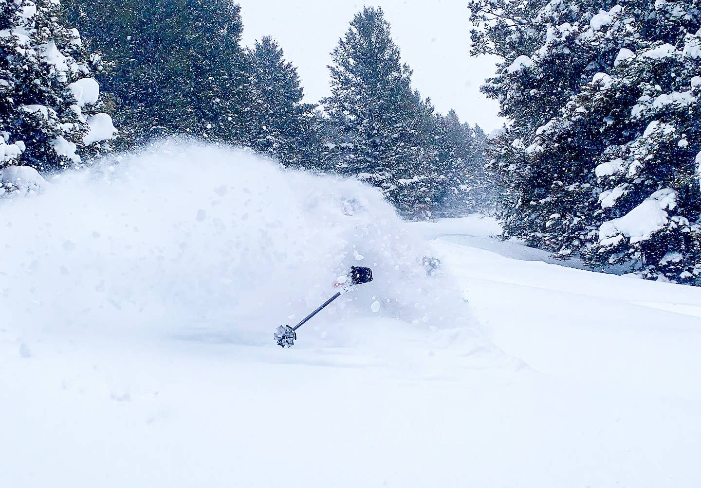 Why I Will Always Love My Moment Ghost Train Skis - Powder