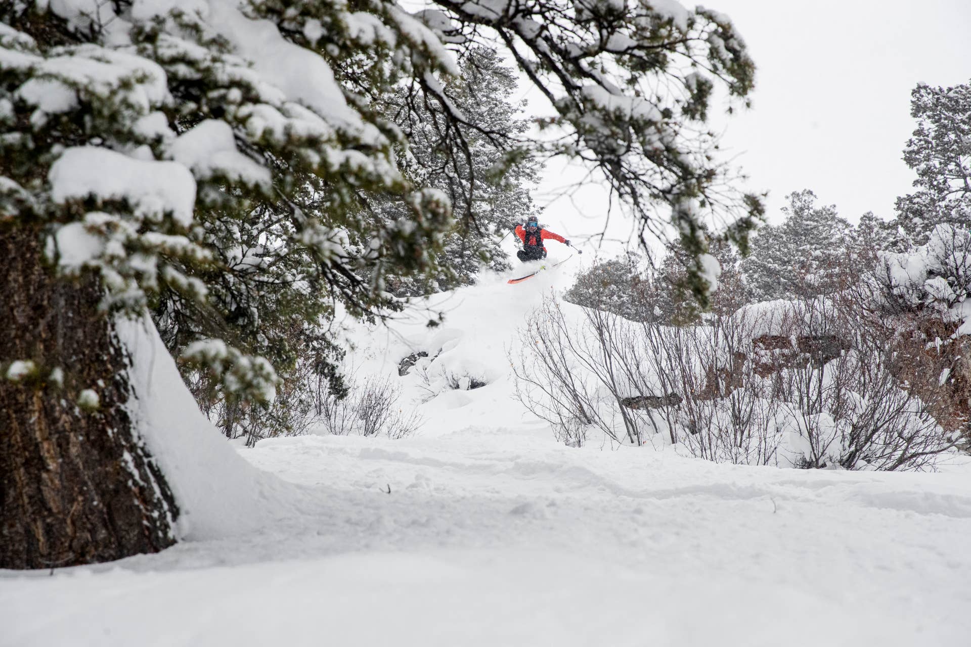 Why I Will Always Love My Moment Ghost Train Skis - POWDER