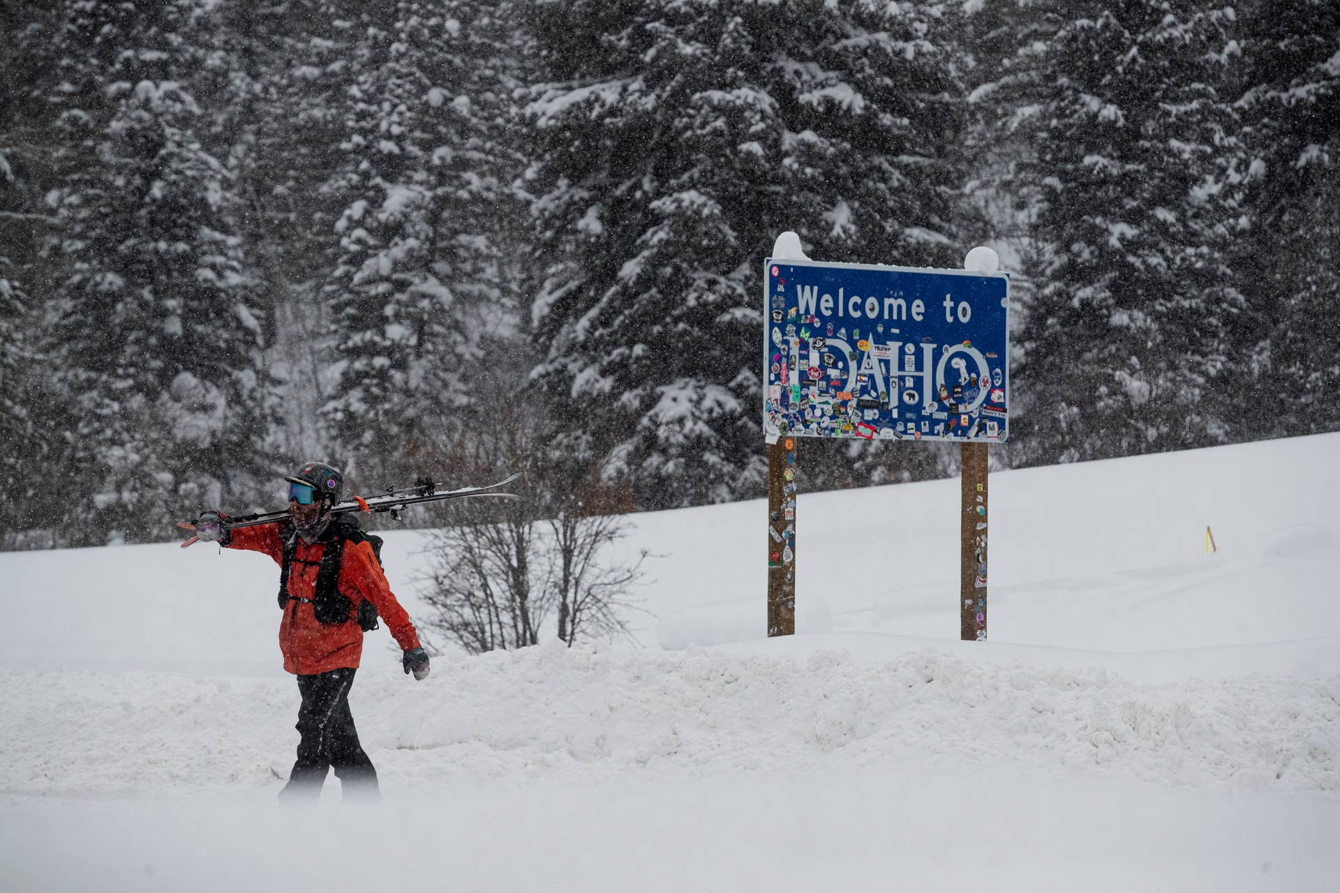 Why I Will Always Love My Moment Ghost Train Skis - POWDER