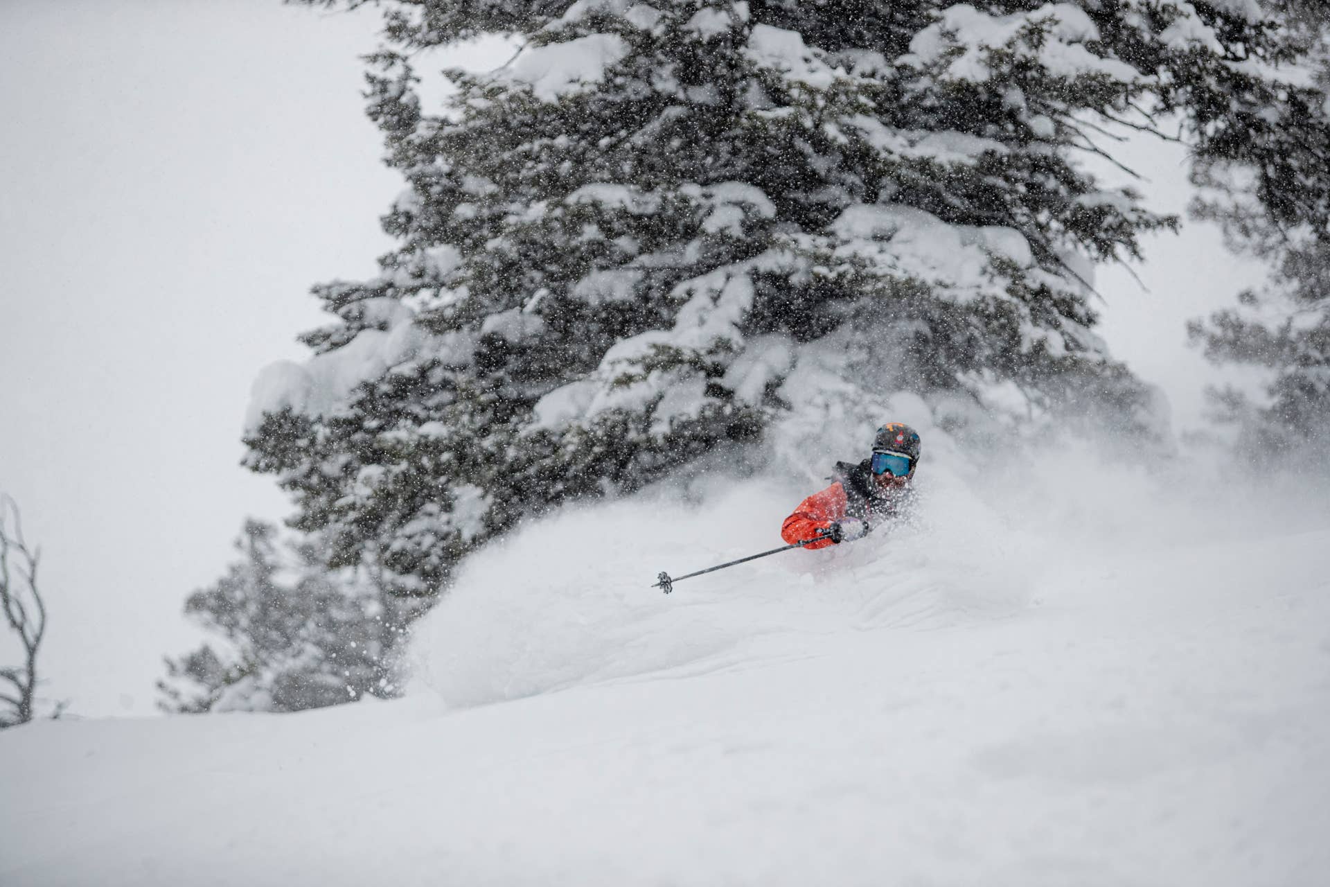 Why I Will Always Love My Moment Ghost Train Skis - Powder