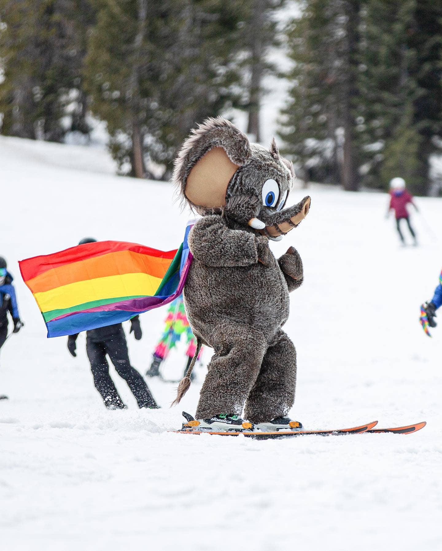 The 5 Best LGBTQ-Friendly Ski Resorts in North America - POWDER