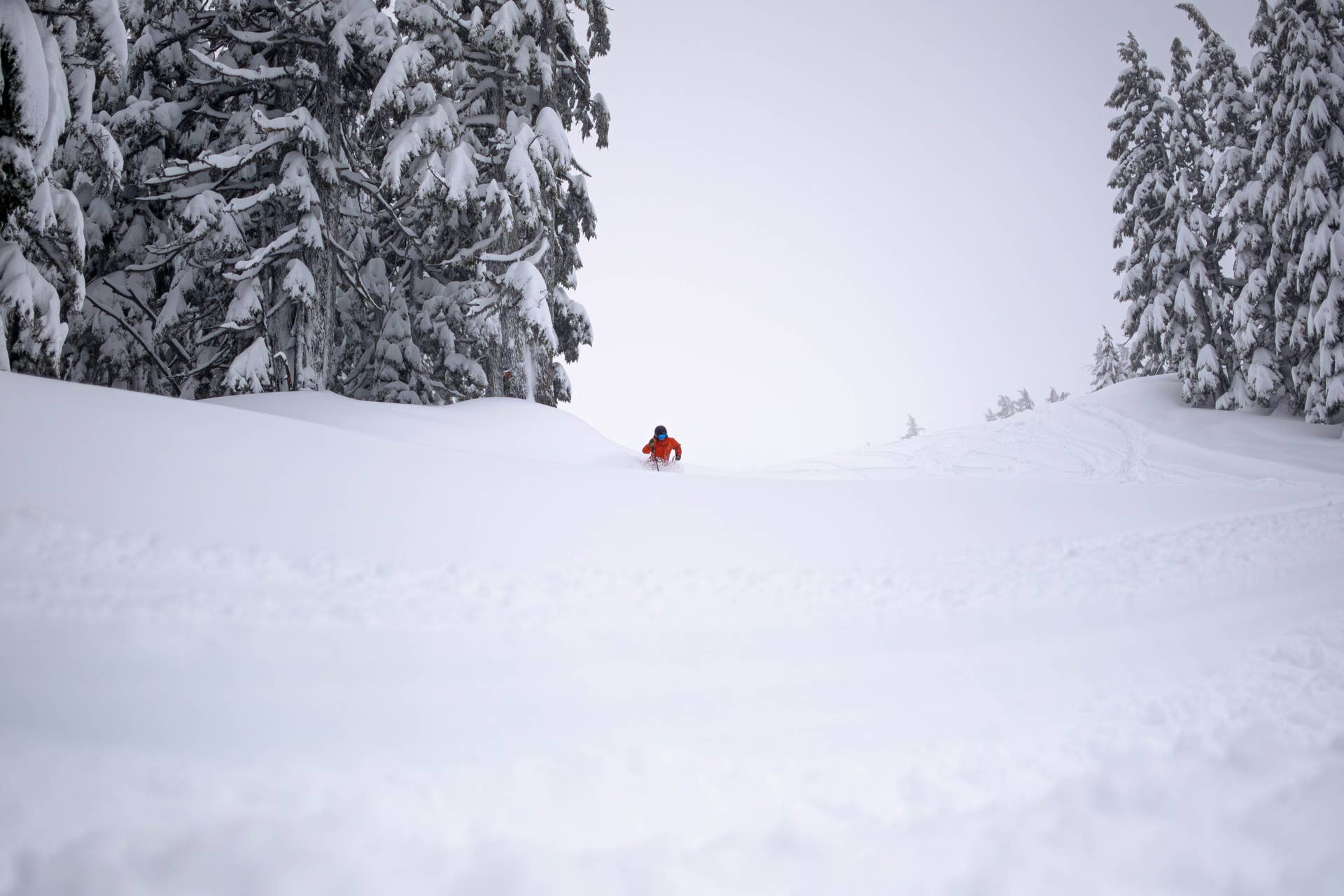 The Deepest Snowpacks at Western Ski Resorts in 2025 - POWDER