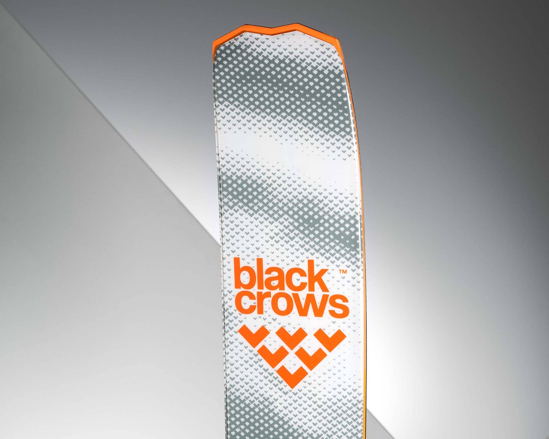 blackcrows Releases Limited Edition Powder Hunter Nocta Skis - POWDER