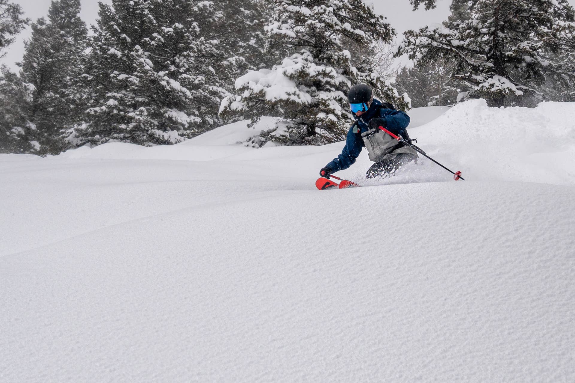 Review: 2026 Salomon QST Blank - POWDER