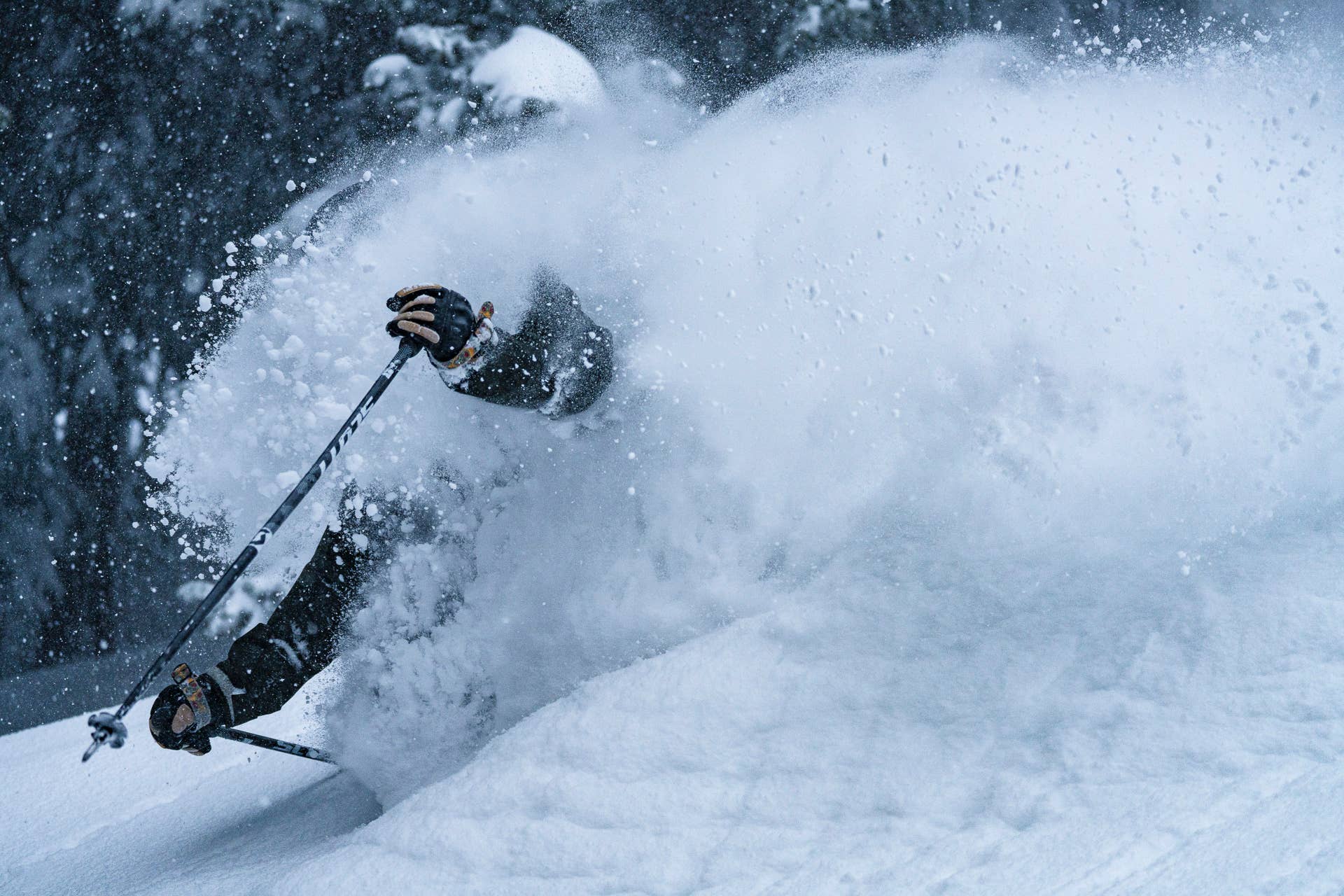 30 Inches In 24 Hours: Alta, Utah's Powder Day for the Ages - POWDER