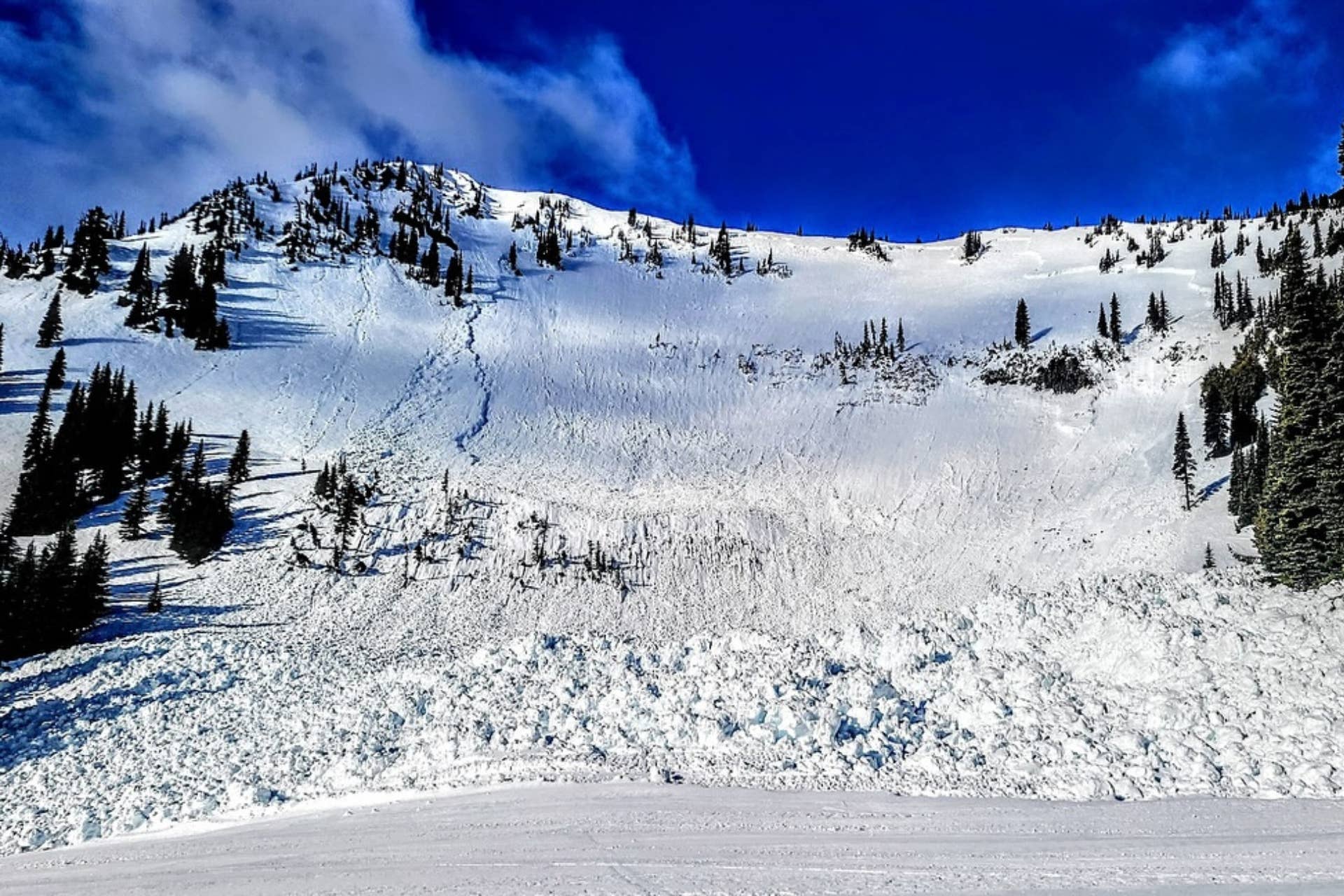 Large Avalanche Releases Inbounds at Crystal Mountain, WA - Powder