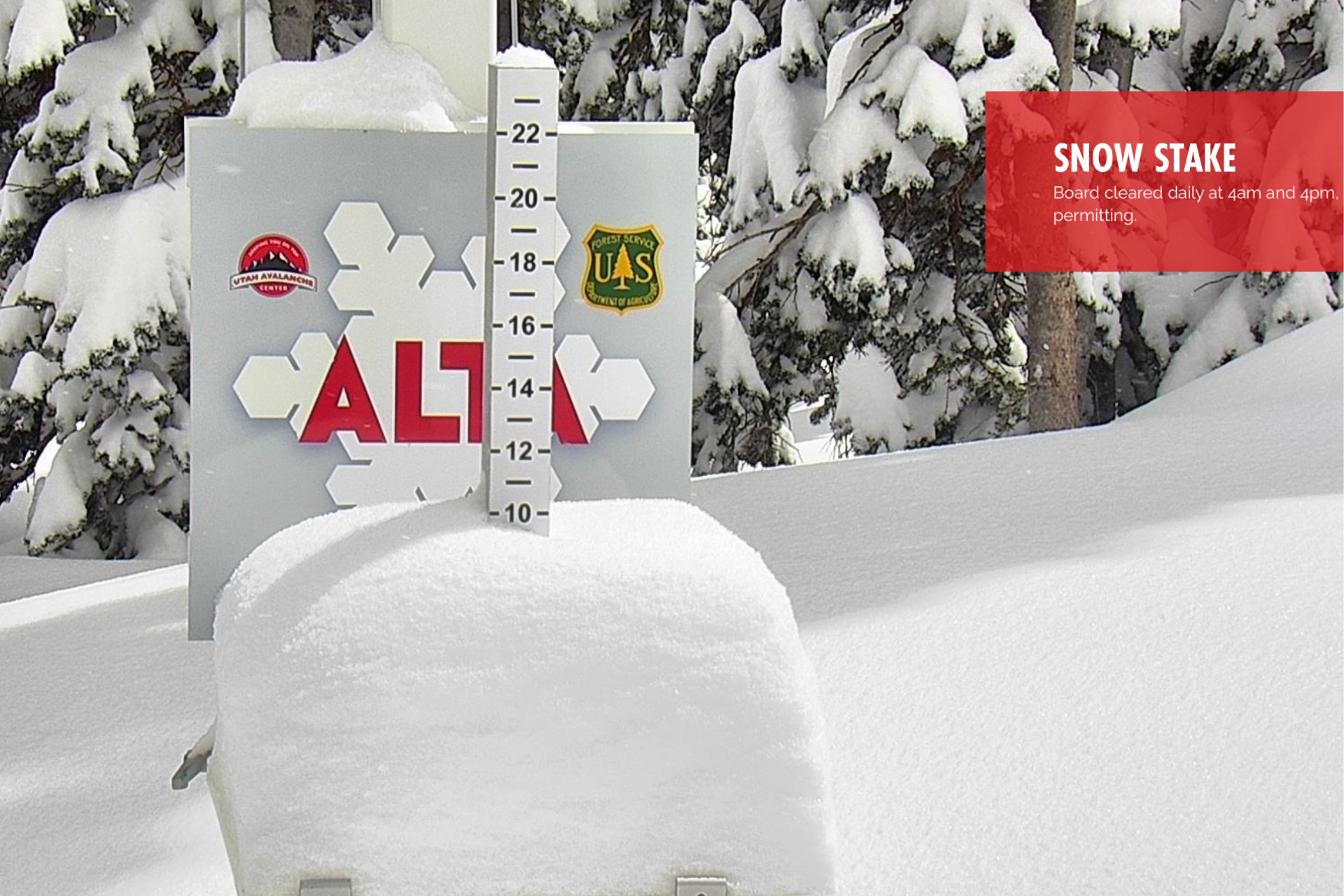 Alta Ski Area Surpasses 500 Inches of Seasonal Snowfall - POWDER
