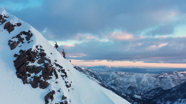 Salomon tv top
