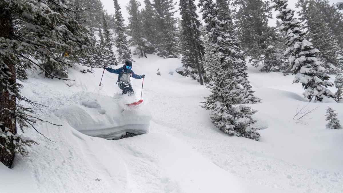 Review: 2025 Salomon QST Blank Review: 2025 Salomon QST Blank