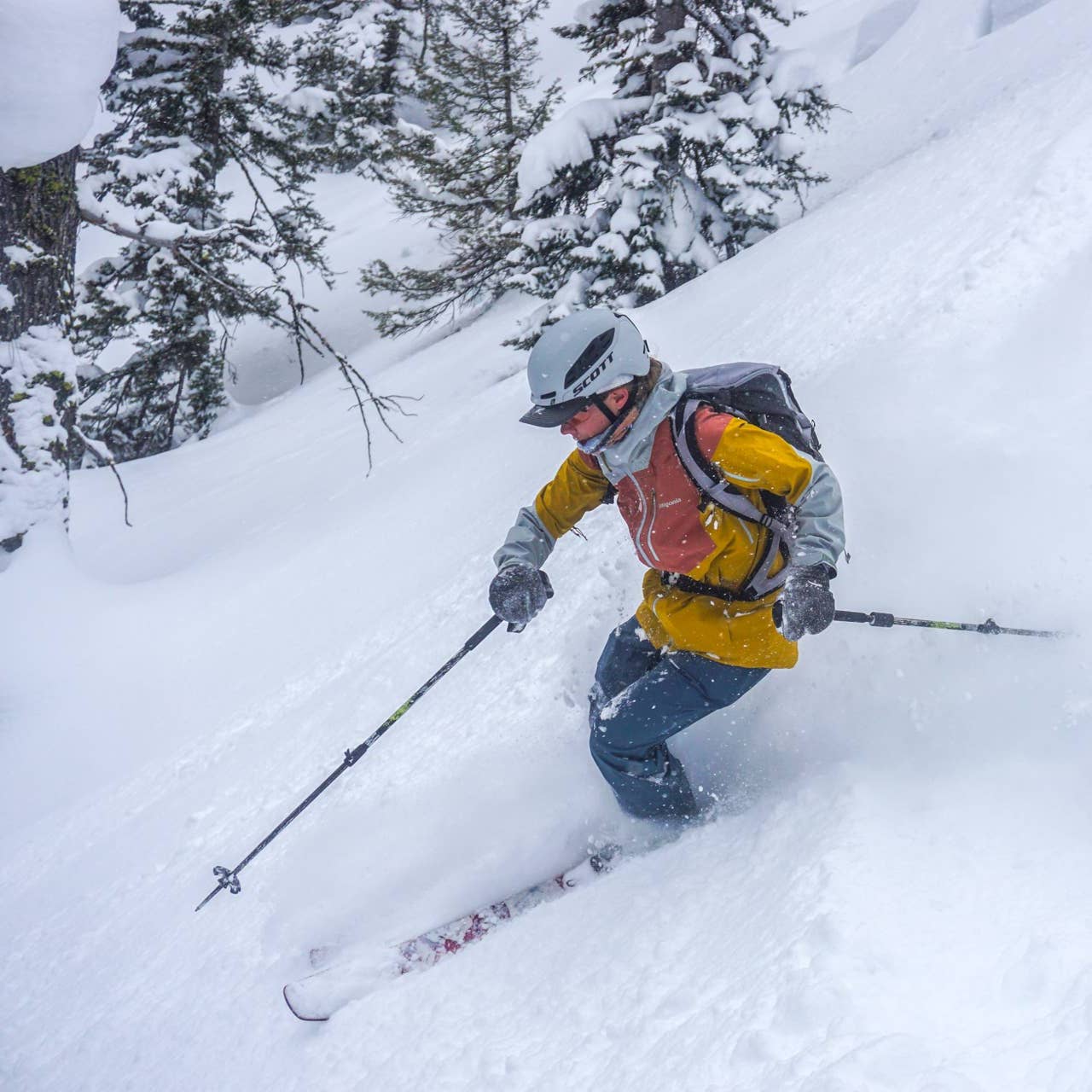 Review: Patagonia Women