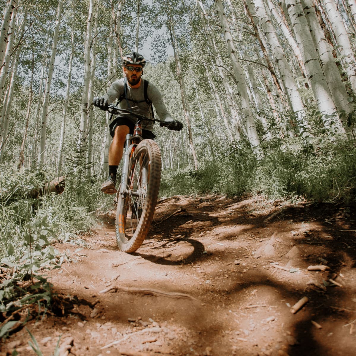 mountain biking powder mountain