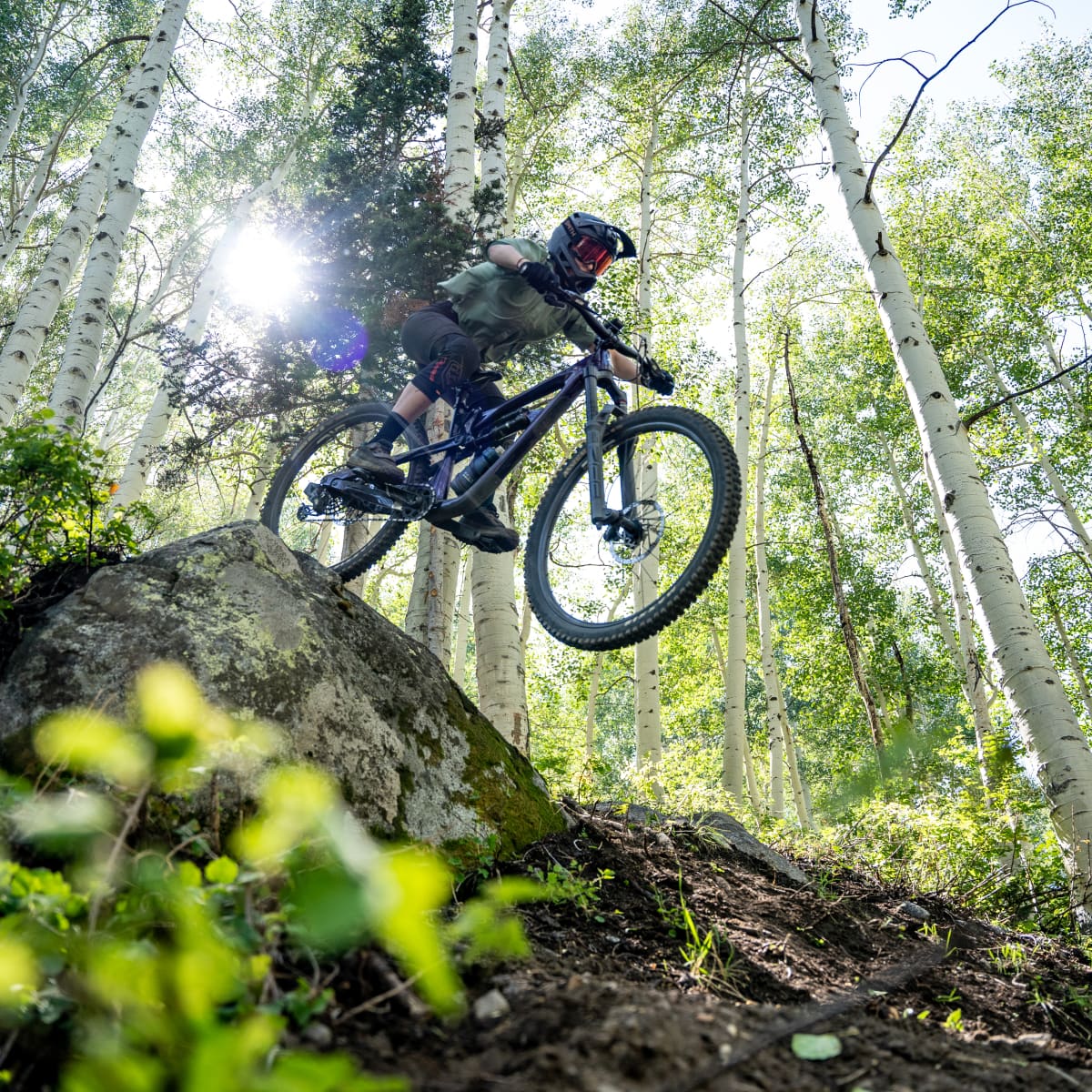 new forest bike park