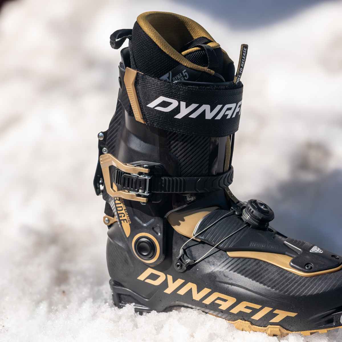 Review: Dynafit Ridge Pro Boot